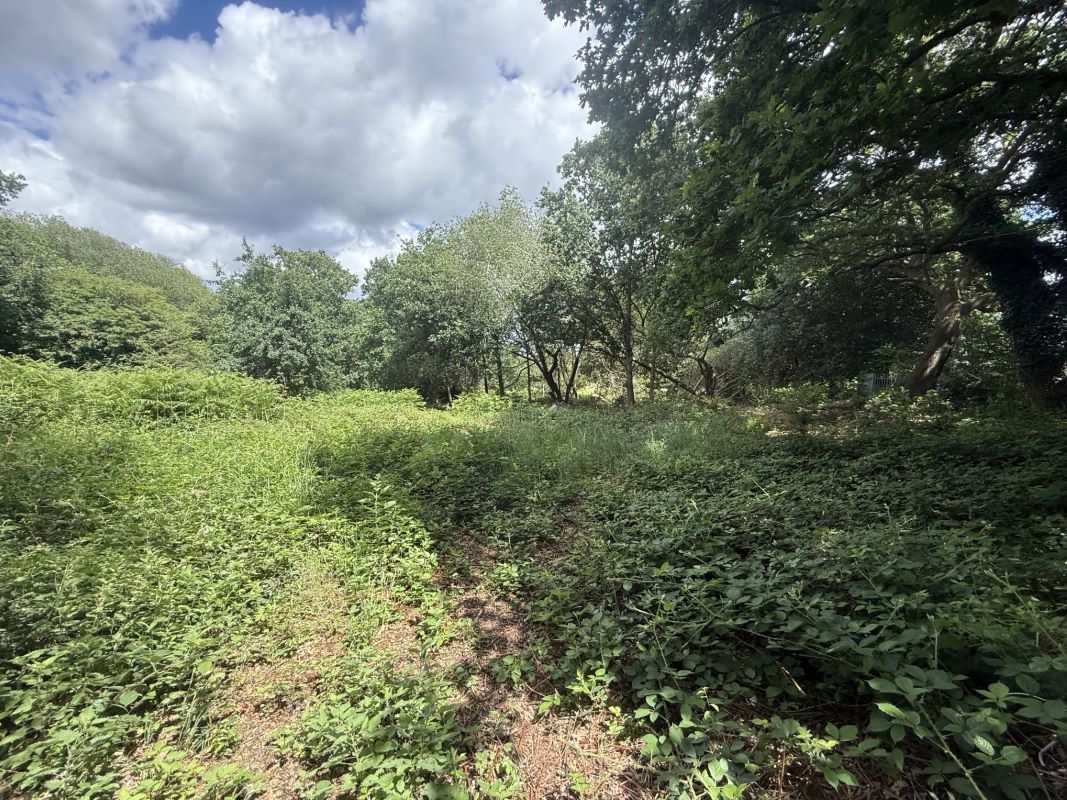 Two Land Plots For Sale in Blackwater, Surrey 2