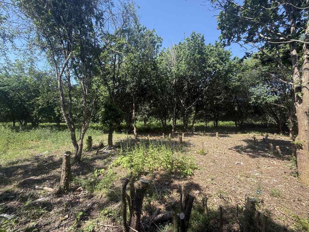 Two Land Plots For Sale in Blackwater, Surrey 3